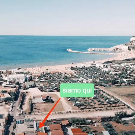 Tavaglione *